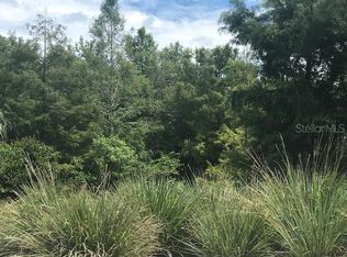0 NE 315 Hwy, Fort McCoy, FL 32134