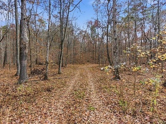 3rd image of 0 Flowery Branch Rd #16