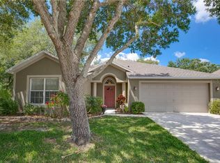 2002 Highview Fall Pl, Brandon, FL 33510