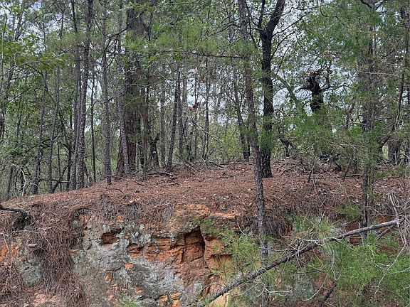 3rd image of LOT 214 Hekili Dr