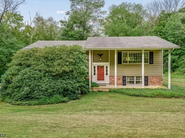 10 Longbridge Rd, Frankford Twp., NJ 07826