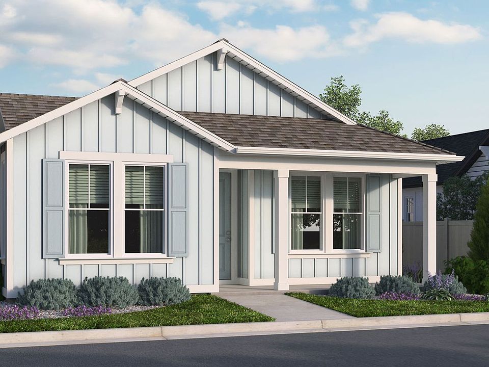 Larkspur Florets Elevation