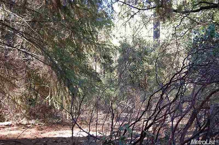2nd image of 1640 Shelter Cove Dr