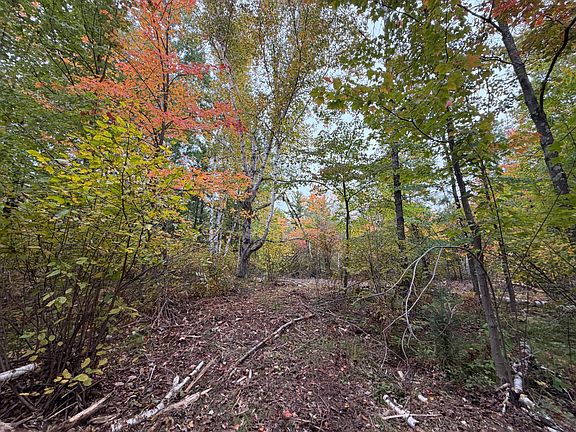 4th image of 51449 Sand Creek Rd