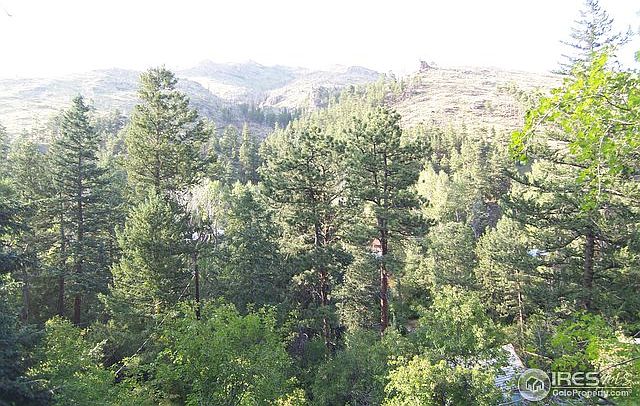 2nd image of 77 Alpine Gulch Rd
