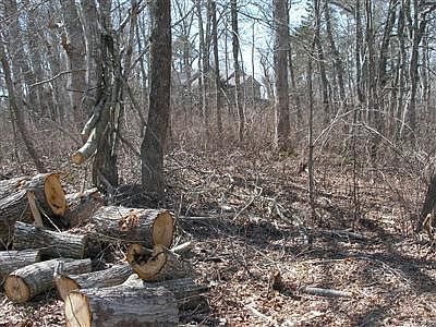 1st image of 10 Grist Mill Lane