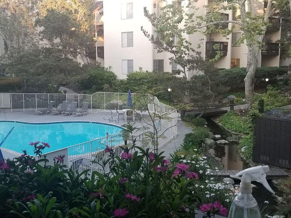 View from the Unit.