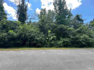 1100 Blk McKinnonville St, Molino, FL, 32577