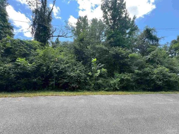 1100 Blk McKinnonville St, Molino, FL 32577