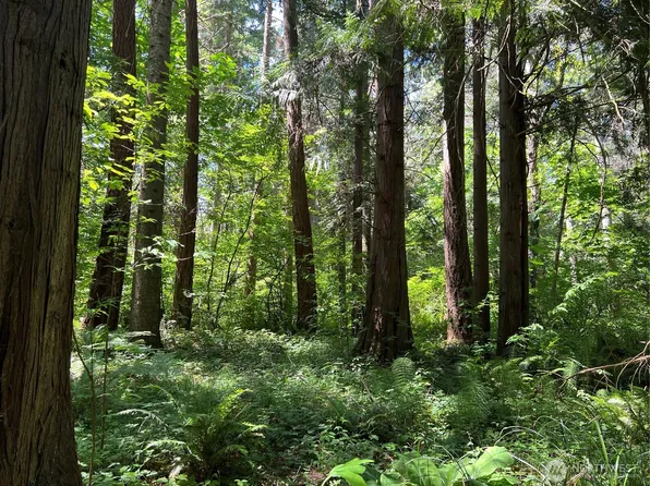 6 acres South Beach Road, Point Roberts, WA 98281