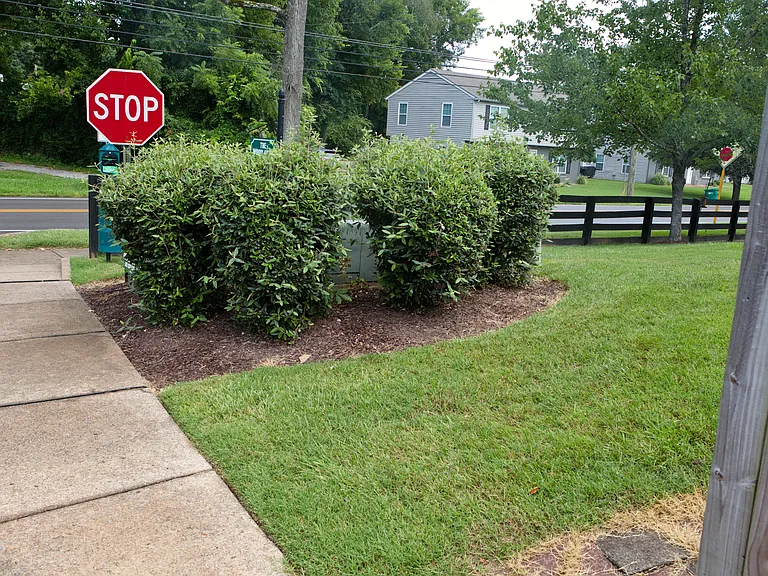 2001 Birch Ln — Photo 34