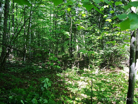 5th image of Birchwood Dr