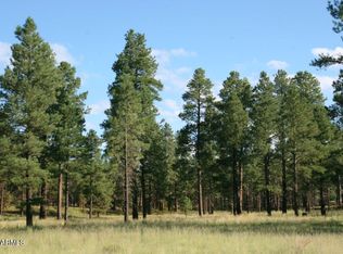 7337 Forest Service Rd TRACT 122-1, Happy Jack, AZ 86024