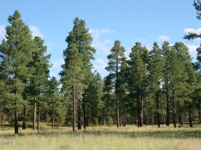 7337 Forest Service Rd TRACT 122-1, Happy Jack, AZ, 86024