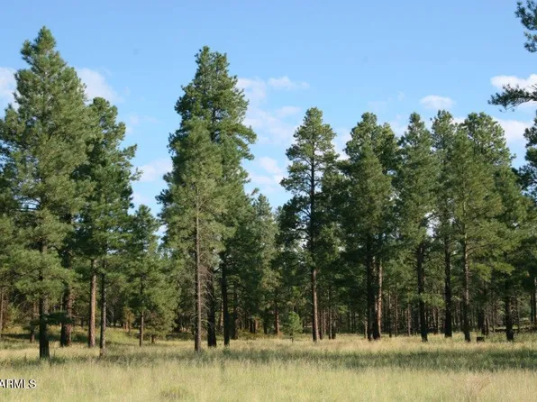 7337 Forest Service Rd 122 -- #Tract 1-B, Happy Jack, AZ 86024