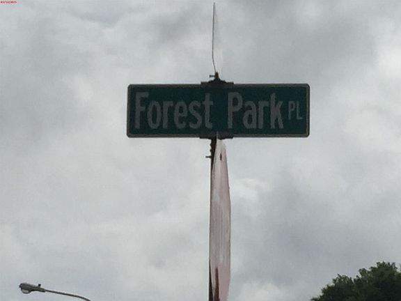 5th image of 3743 Forest Park Pl