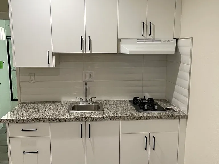125 W 86th Pl — Photo 2