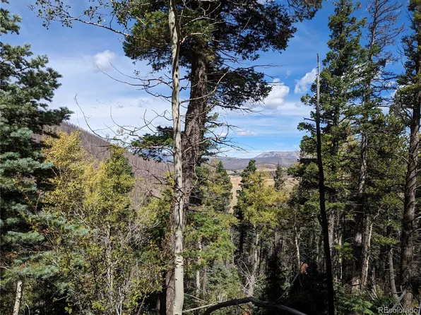 2376 Larry Place, Fort Garland, CO 81133