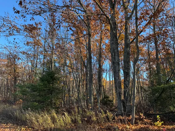 Lots 9 12 Charles Brink Rd, Gaylord, MI 49735