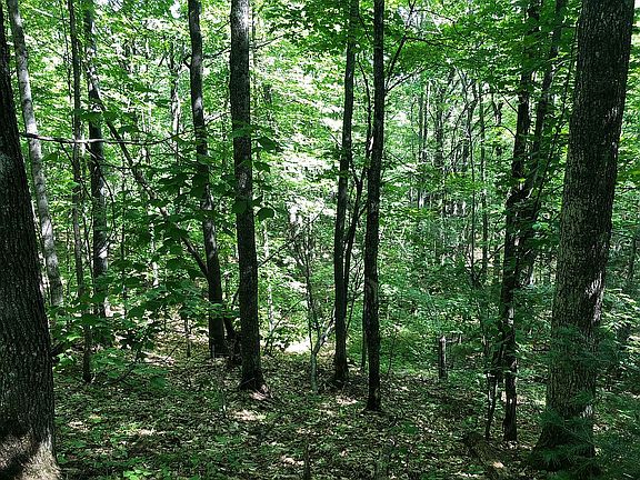 4th image of 1420 County Road 492