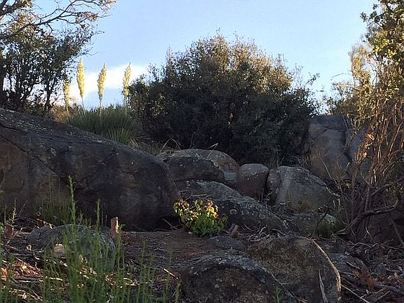 Boulders add garden awe