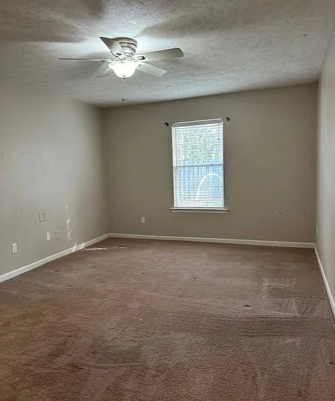 246 Waverly Ct — Photo 10