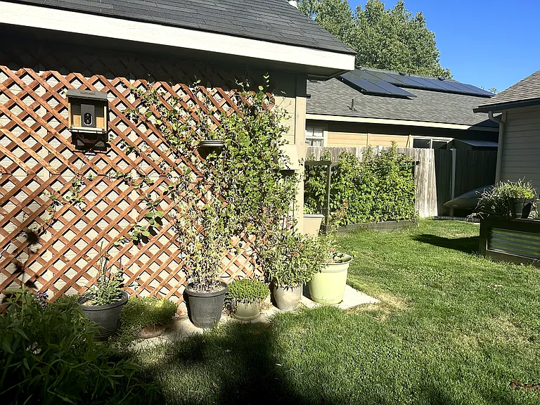 Trellis on side of shed, planted specifically for the hummingbirds. We get a lot of visitors!
