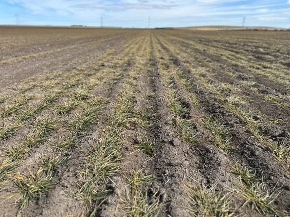 0 Road 111, Sidney, NE 69162