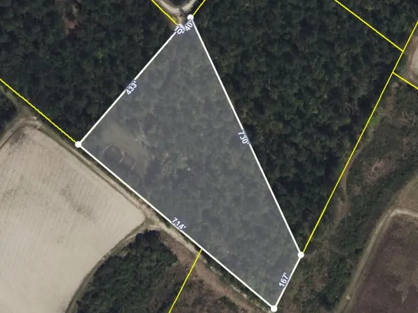 0 Deer Run Ave, Andrews, SC 29510