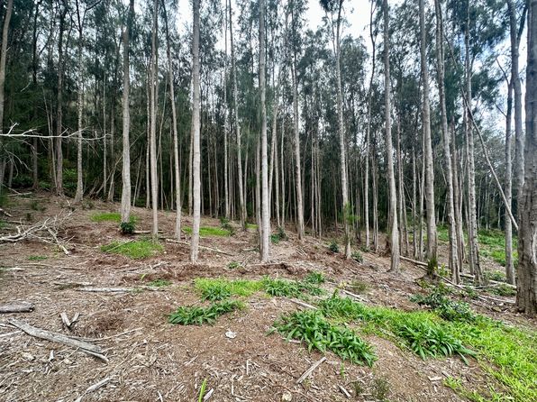 Cane Haul Rd, Honokaa, HI 96727