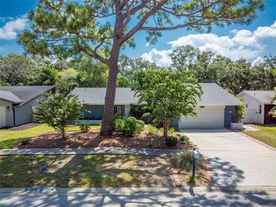 2625 Burntfork Dr, Clearwater, FL, 33761