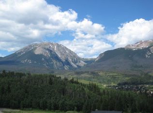 153 Angler Mountain Ranch Rd, Silverthorne, CO 80498