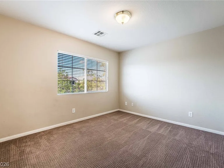 823 Beartooth Falls Ct — Photo 29