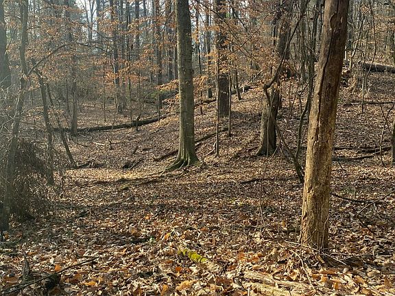 5th image of Fuqua Dr