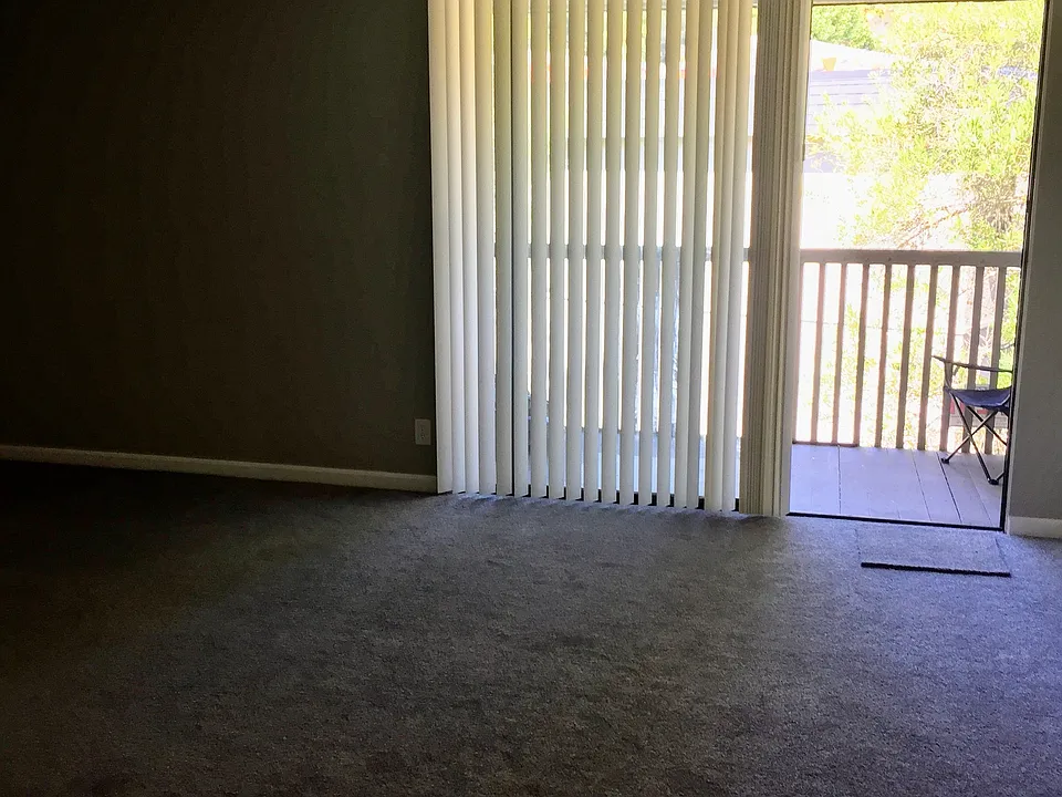701 Shelter Creek Ln #4311