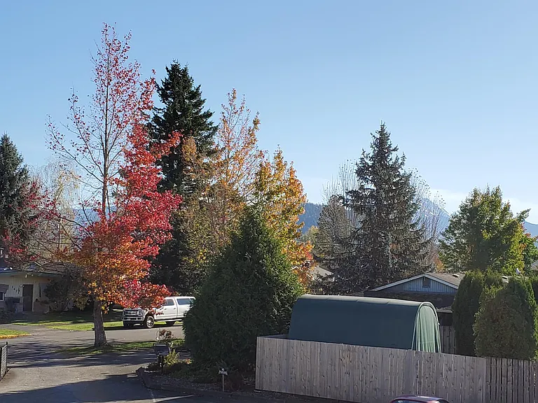 1510 Loraine St — Photo 2