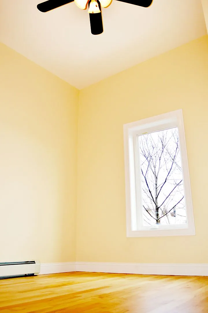 8 Haswell St - Available June 1st! — Photo 4