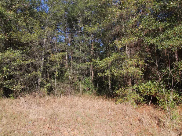 11071 Olive Ct, Fairhope, AL 36532