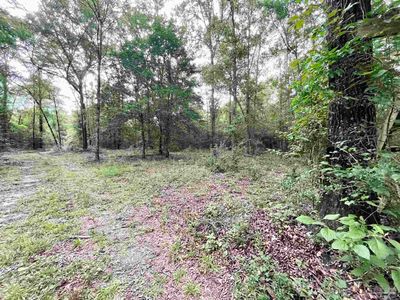 4599 Brushy Creek Rd, Range, AL, 36473