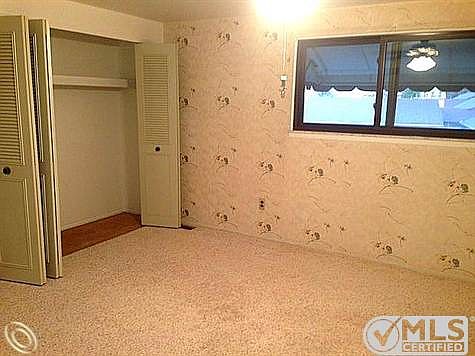 master/new carpet! 2 closets