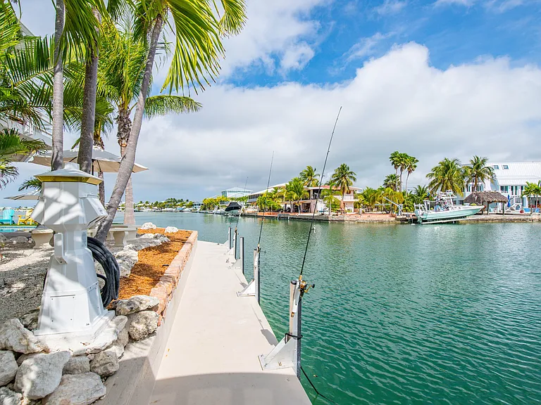 Amazing amount of dockage for boats of all sizes, manatee viewing and Tarpon fishing. The amount of salife is unlimited. Toss a net and catch tomorrows bait.