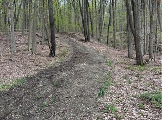 State Rd, Colden, NY 14033