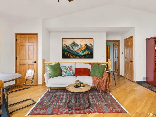 745 N Pine Drive, Bailey, CO 80421