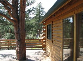 16699 Ouray Rd E, Pine, CO 80470