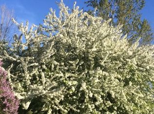 1021 Mayer Rd, Wales, MI 48027