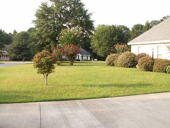 Right side of yard