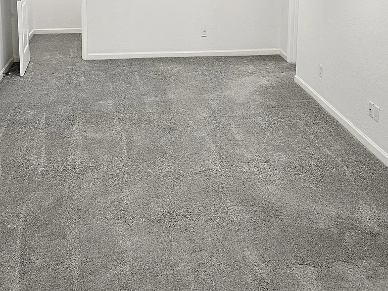 2415 Olive St — Photo 44
