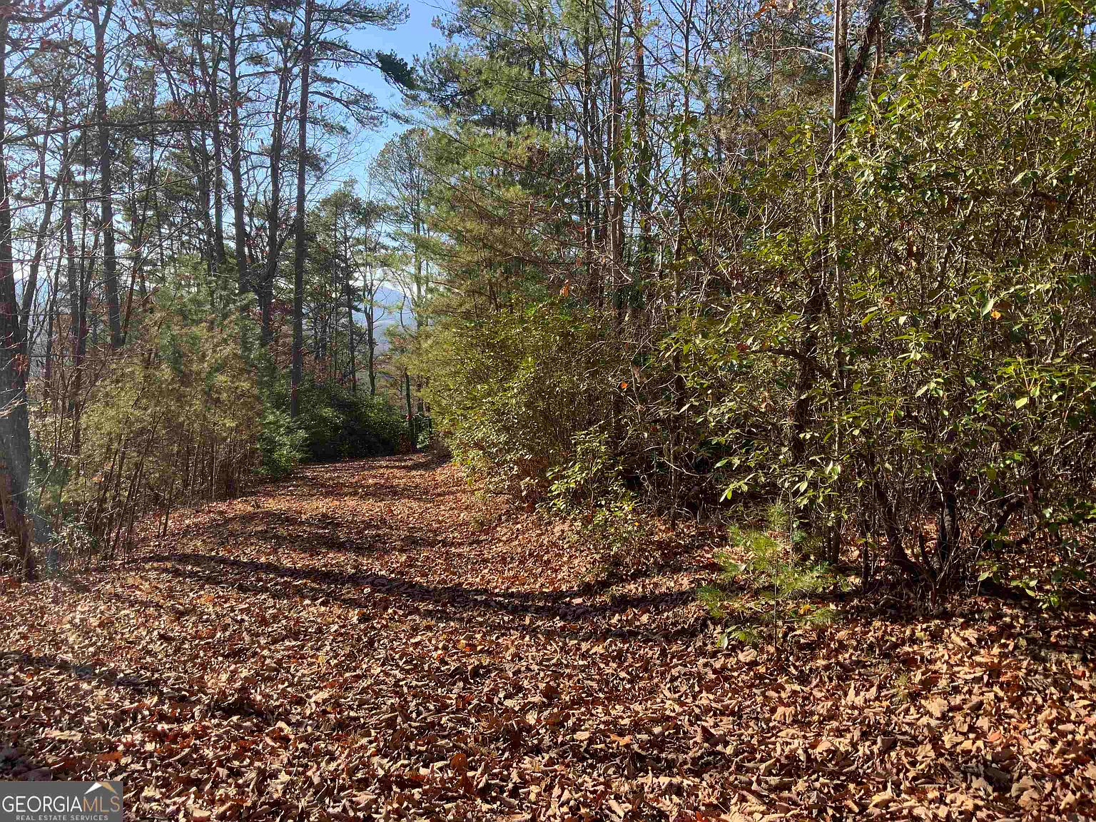 40 Nantahala Ln, Hayesville, NC 28904 Zillow