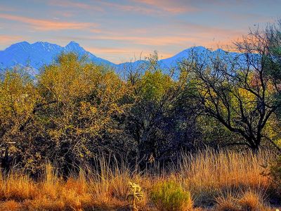 2368 E Madera Plateau Dr, Sahuarita, AZ, 85614