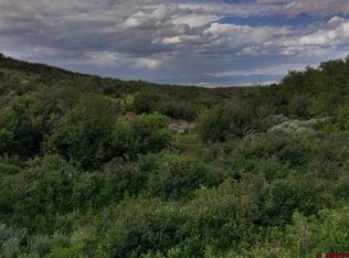 Highway 90, Montrose, CO 81401